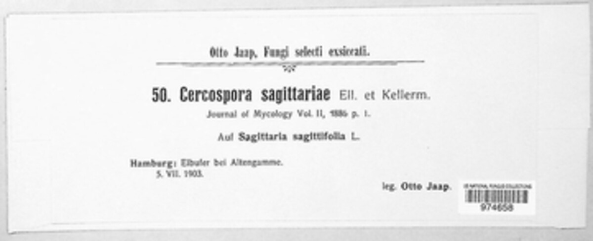Cercospora sagittariae image